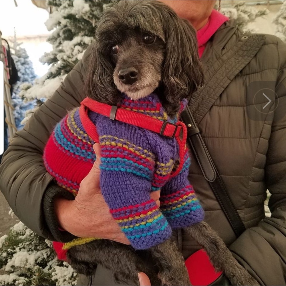 CUSTOM MADE and DESIGNED DOG APPERAL